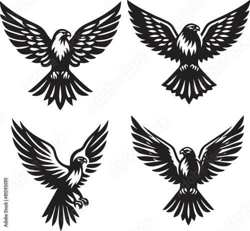falcon vector ilastration