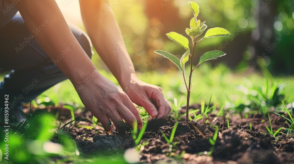 Fototapeta premium Person planting a tree in a community garden, demonstrating environmental care