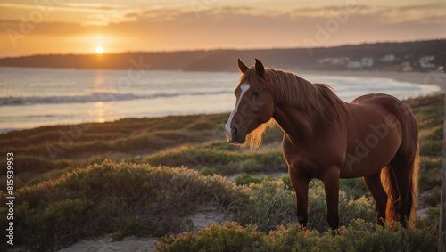 Sandy Shore Majesty  Brown Horse Enjoys Sunset on Coastal Retreat