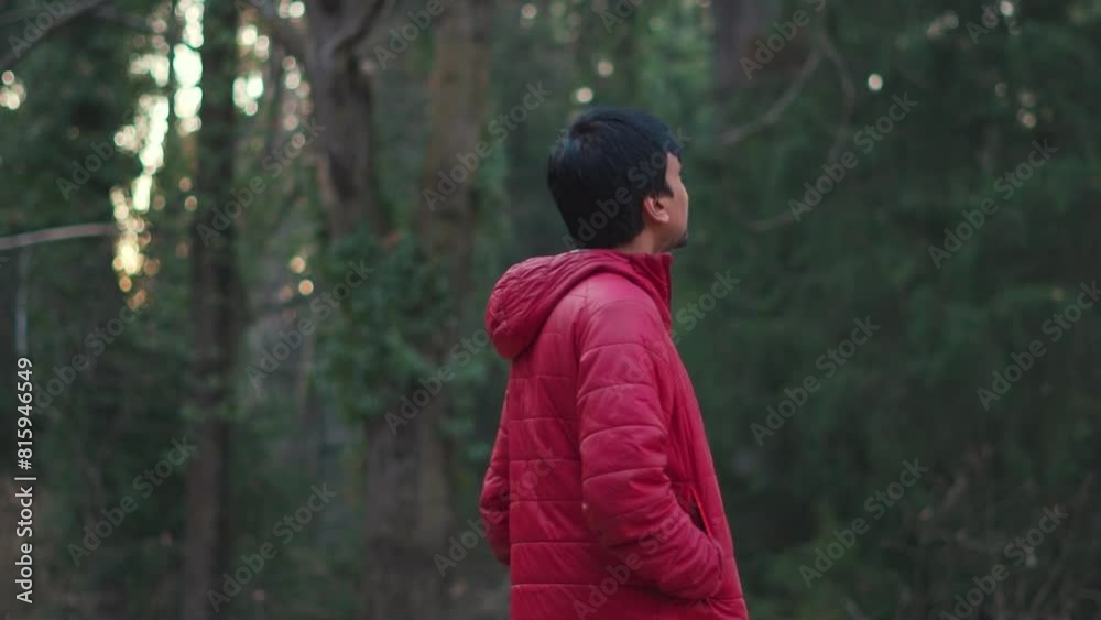 Portrait of an Indian male tourist walking in front of Pine tree forest at Manali in Himachal Pradesh, India. Tourist exploring Van Vihar national park in Manali. Man walks in front of pine tree Portrait of an Indian male tourist walking in front of Pine tree forest at Manali in Himachal Pradesh, India. Tourist exploring Van Vihar national park in Manali. Man walks in front of pine tree