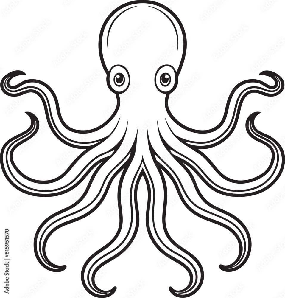 octopus illustration isolated on white backgound octopus illustration isolated on white backgound