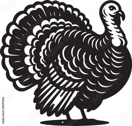 turkey ilastration