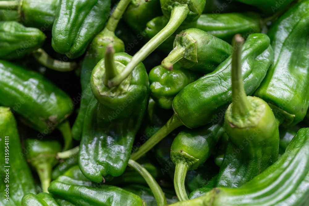 Fresh and Healthy Green Peppers: Nutritious Snack Vegetables Available at the Market. Organic, Tasty, and Full of Flavor, Perfect for a Nutritious Diet and Culinary Delights. the Best in Fresh Produce Fresh and Healthy Green Peppers: Nutritious Snack Vegetables Available at the Market. Organic, Tasty, and Full of Flavor, Perfect for a Nutritious Diet and Culinary Delights. the Best in Fresh Produce