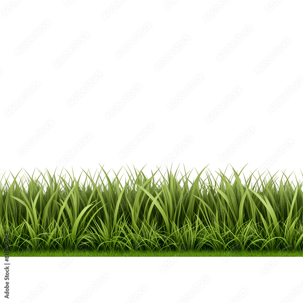 seamless grass border isolated on a transparent background seamless grass border isolated on a transparent background