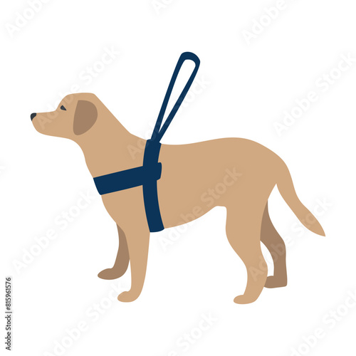Guide dog with a special leash. Rehabilitation and adaptation of people after vision loss. Training dogs to help blind people. vector illustrations on a white background.