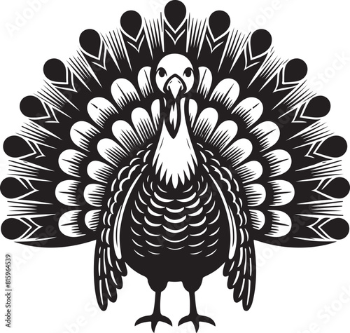 turkey ilastration