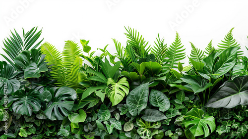 The lush and vibrant foliage of tropical foliage forms the basis of an elegant design.