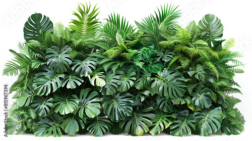 The lush and vibrant foliage of tropical foliage forms the basis of an elegant design.