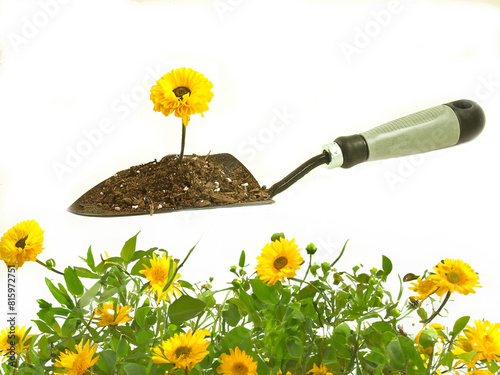 gardening tools and flowers