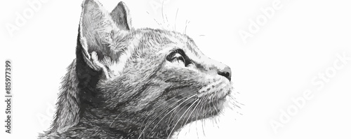 Ñat. Engraving style. Simple pencil drawing. vector simple illustration