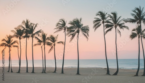  Tropical beach with palm trees during sunset