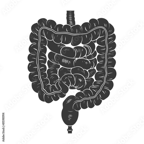 Silhouette human intestine black color only
