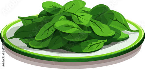 slices of Spinach on plate vector flat isolated vector style illustration