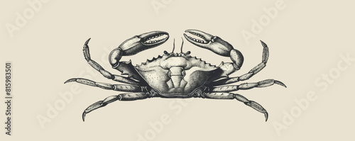 Cute crab hand drawn engraving style sketch. vector simple illustration photo