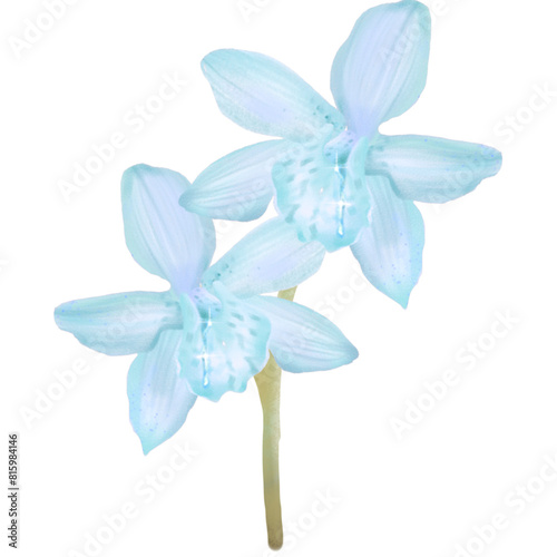 Orchids blue  flower art