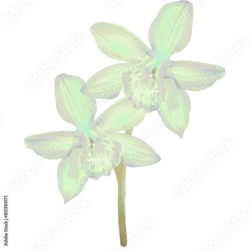 Orchids green  flower art