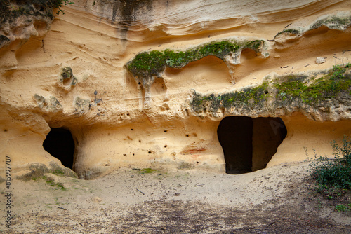 Cecina Etruscan tombs dug into the Bibbona tuff toscany photo