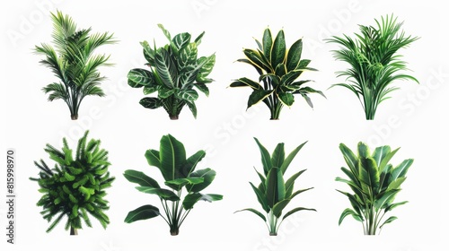 A collection of eight various green houseplants with different leaf patterns and shapes isolated on a white background.