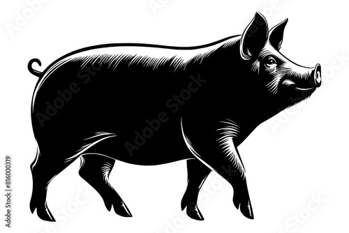 Pig walking monochrome clip art. vector illustration
