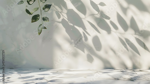 Minimalistic light background with blurred foliage shadow on a light wall Beautiful background for presentation with with marble floor : Generative AI