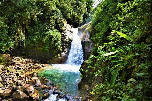 Beautiful nature at Rio Chirripo Pacifico in the Cloudbridge Nature Reserve (Talamanca mountains, Costa Rica) photo