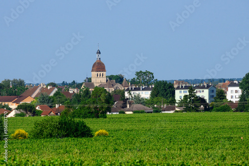 Beaune, Cote de Beaune, Cote d'Or, Burgundy, France, Europe - vineyards on outskirts of the city, Beaune city in background with characteristic Dome of Notre Dame Collegiale photo