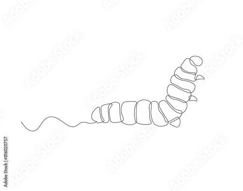Continuous one line drawing of caterpillar. One line drawing illustration of caterpillar. Insect concept continuous line art. Editable outline.