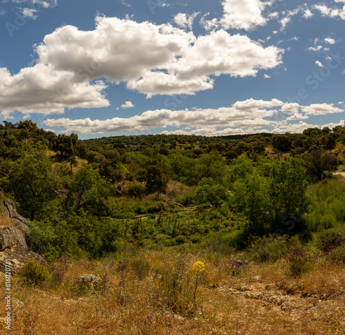 monte mediterraneo