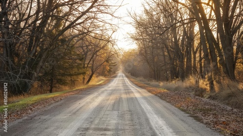 stretta strada di campagna nel midwest con alberi maestosi e staccionate bianche foto paesaggio photo