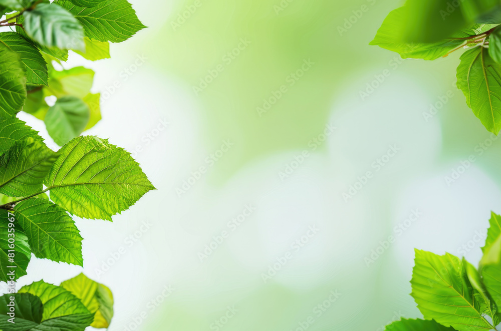 Green leaves background. Nature, ecology and healthy environment concept Green leaves background. Nature, ecology and healthy environment concept