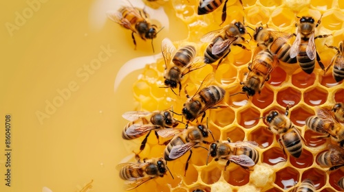world bee day background and honey with copy space