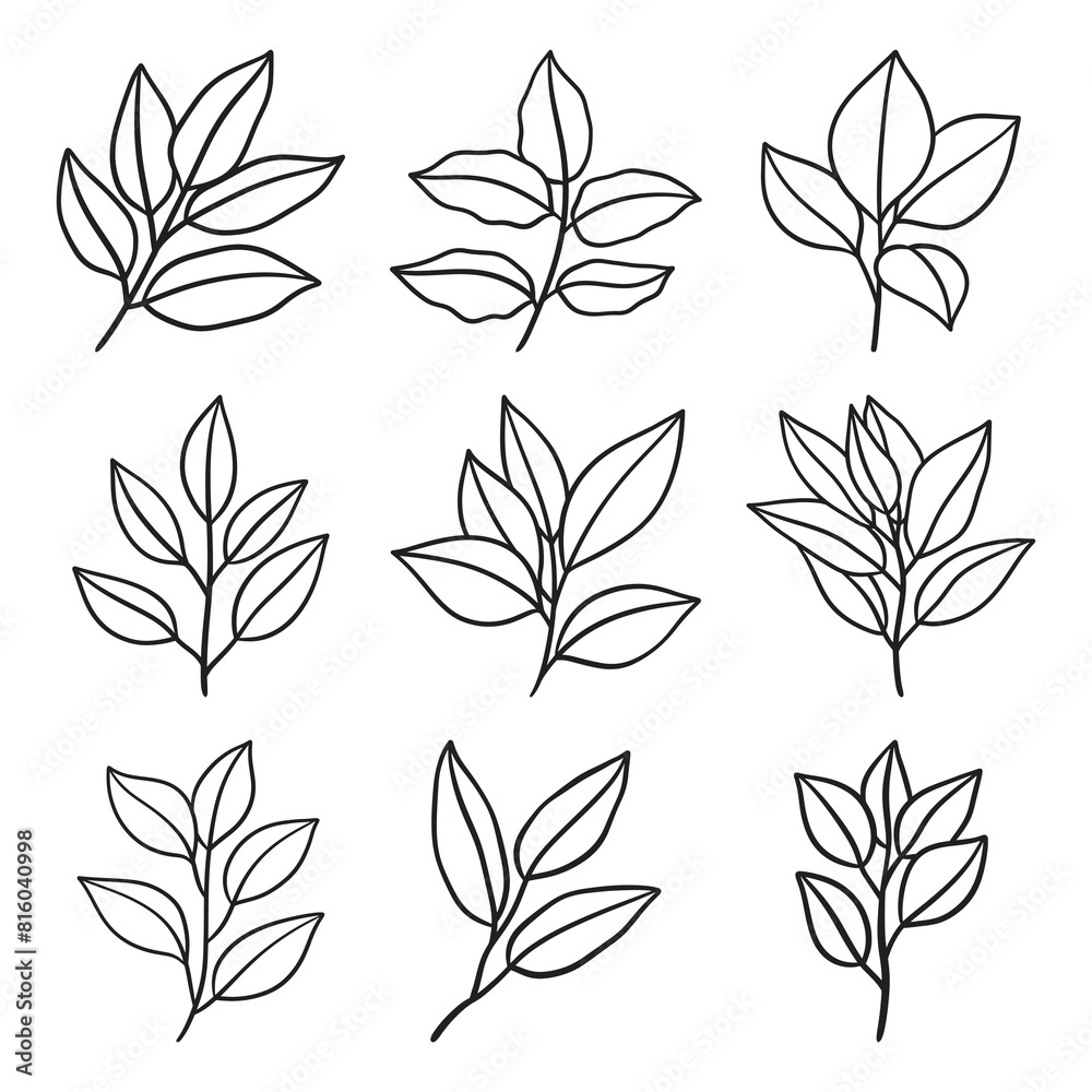 Set of branch and leaves vector Set of branch and leaves vector