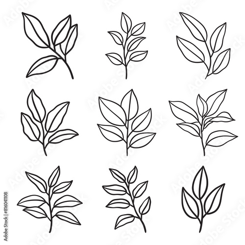 Set of branch and leaves vector