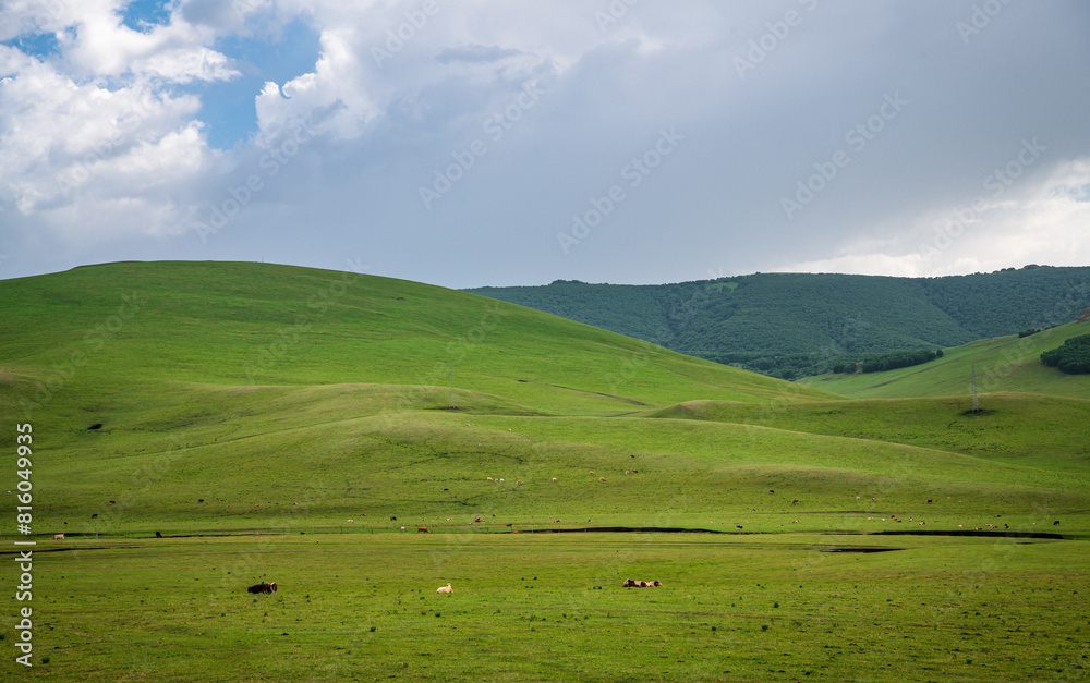 Scenery of the Re'a Line Grassland in Keshiketeng Banner, Chifeng City