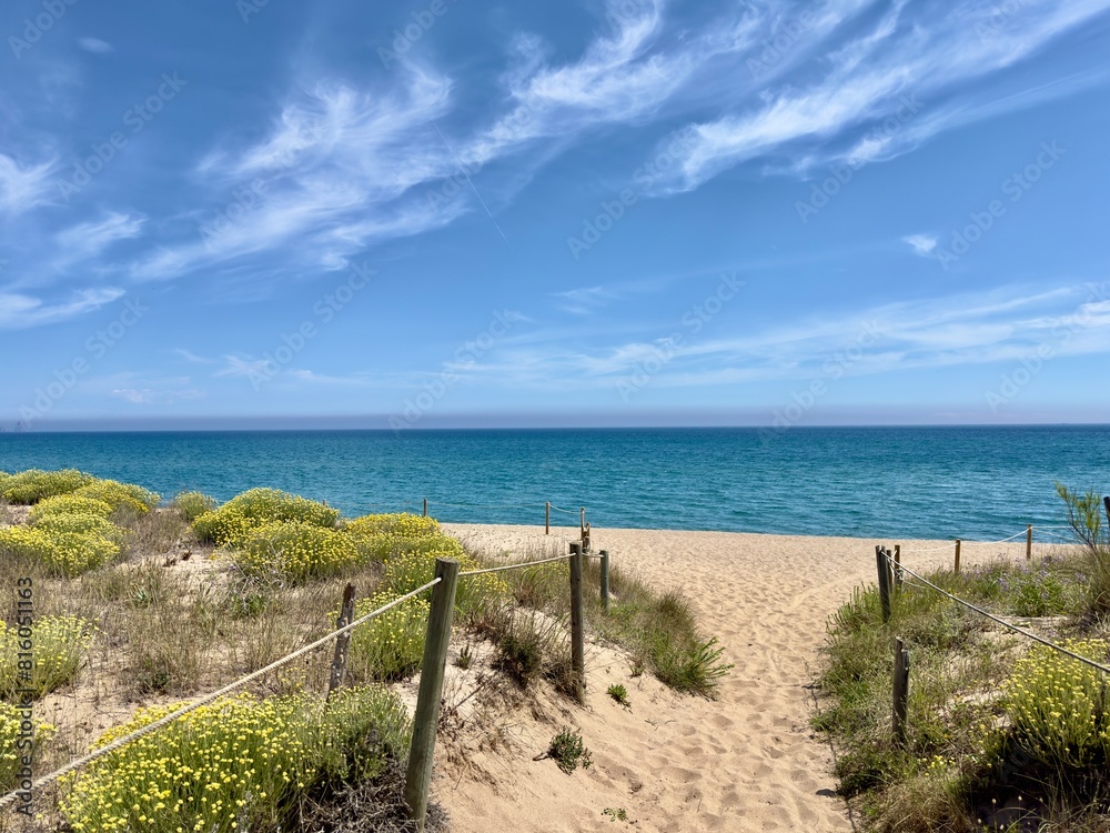 Fototapeta premium beach access across the dunes at Platja del Racó with a view towards the Mediterranean Sea, Platja de Pals, beach, Begur, Sa Riera, Catalonia, Costa Brava, Girona, Spain