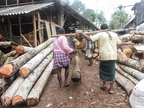 wood processing and wood craft