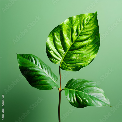a vibrant green plant leaf is set against a pale green background generative ai photo