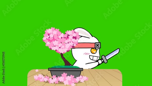 Animated ninja rabbit cutting flower pots into heart shapes on green screen background