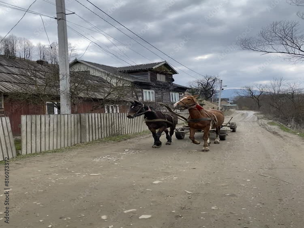 two horses harnessed to a cart ride on the street in the village two horses harnessed to a cart ride on the street in the village