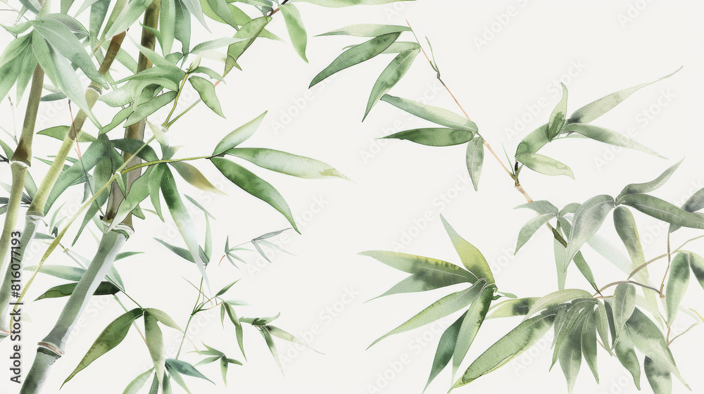 Naklejka premium A watercolor painting of bamboo trees with green leaves isolated on white, oriental pattern background.