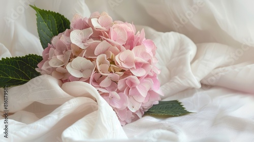 Pink hydrangea of considerable size placed on a white fabric photo
