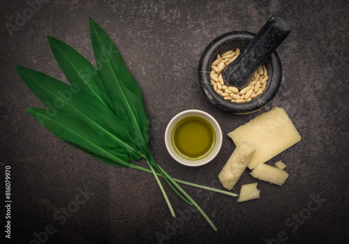 Ingredients for a wild garlic pesto. 