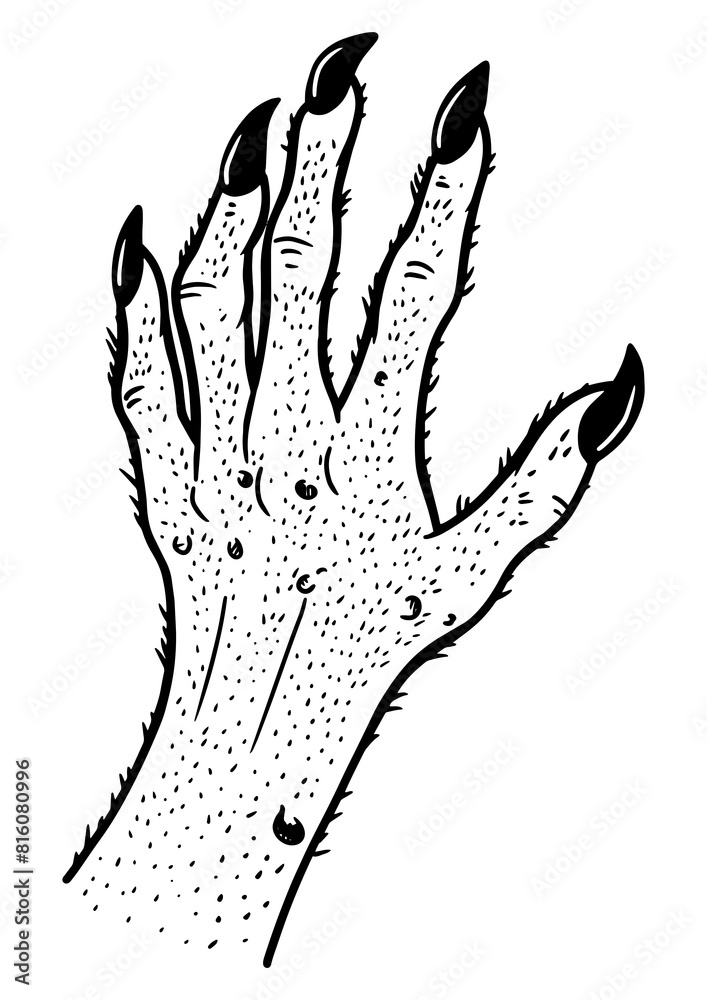 Obraz premium Hand of fabulous monster sketch engraving PNG illustration. T-shirt apparel print design. Scratch board imitation. Black and white hand drawn image.