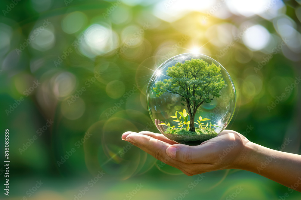 A woman holding a glass globe with a tree inside it. The background is a green, natural and blurred