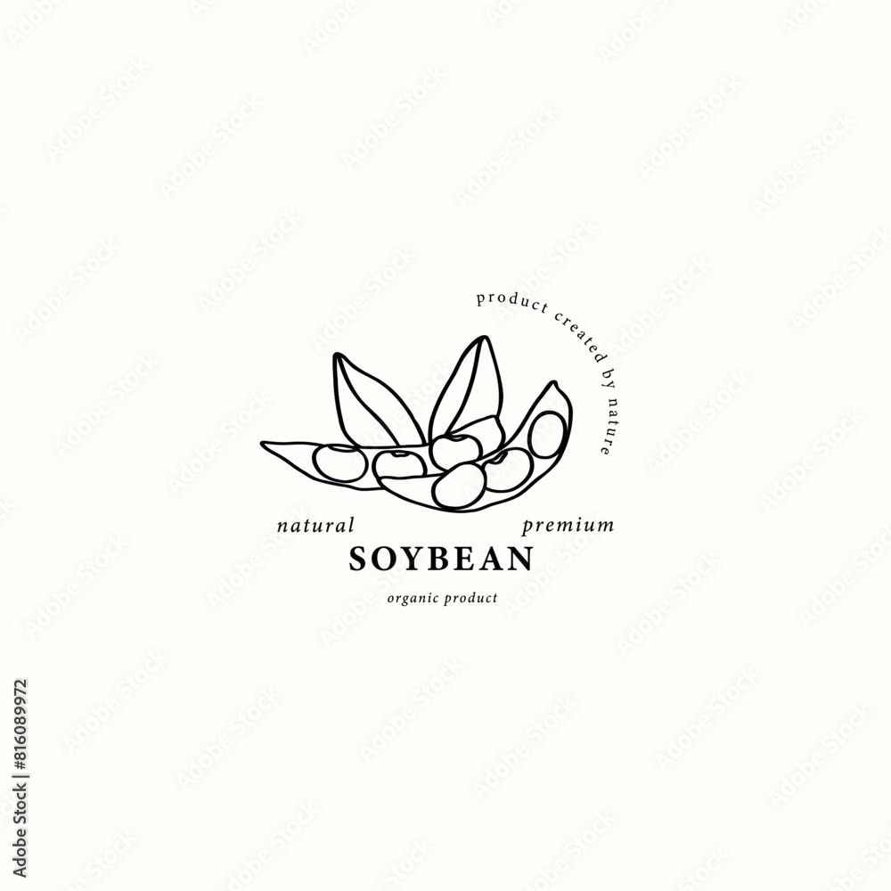 Fototapeta premium Line art soybeans with leaves logo