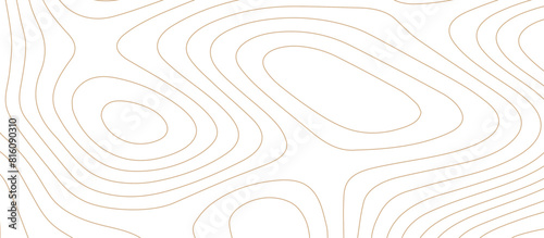 Abstract wave paper curved reliefs background .gradient multicolor wave curve lines banner background design .topographic contours map background .Vector geographic contour map.