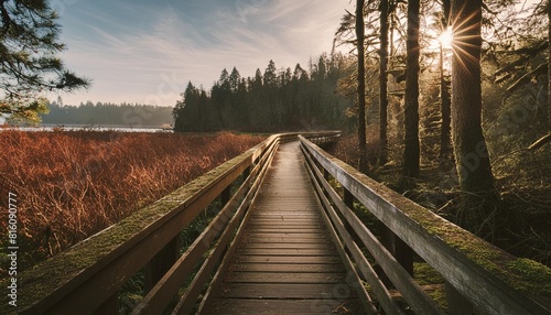 beautiful boardwalk at billy frank jr nisqually national wildlife refuge in autumn in olympia wa photo