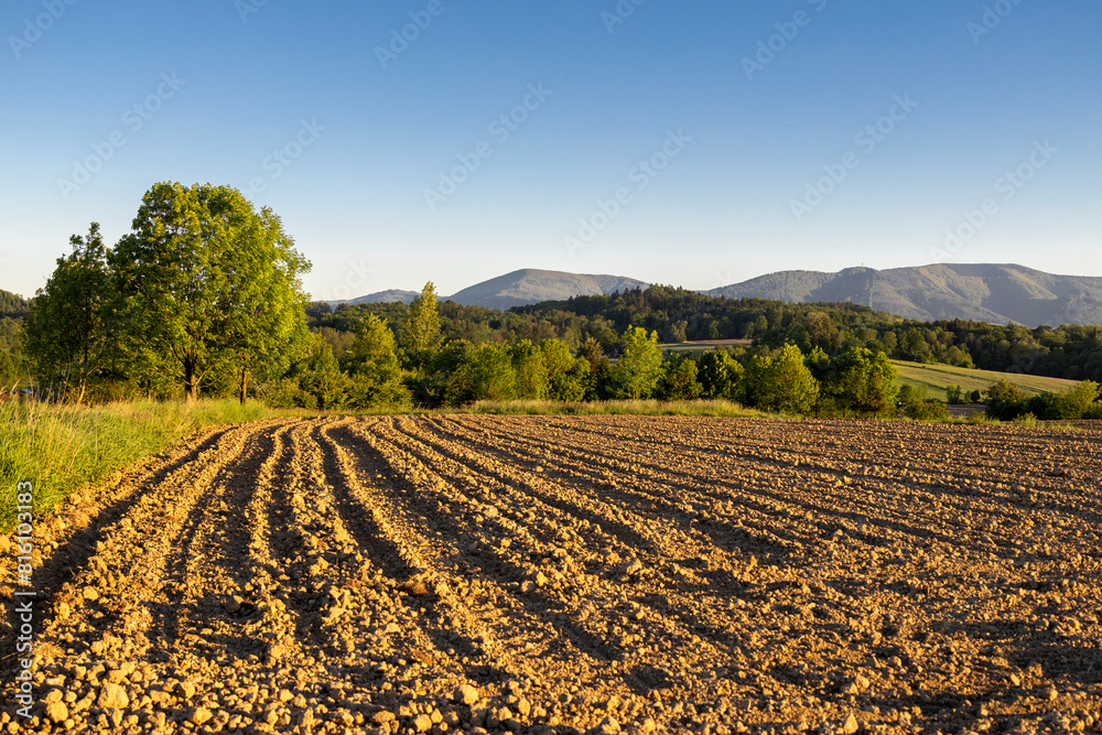 Landscape with trees, mountains and a plowed field in the light of the golden hour 