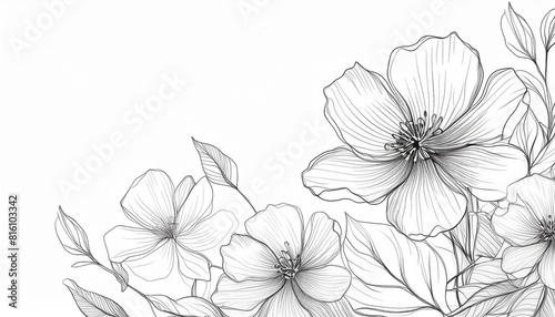 Sketch with beautiful flowers. Modern black and white art. Spring or summer season.