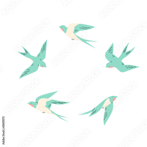 Swallows in flight isolated on a white background.